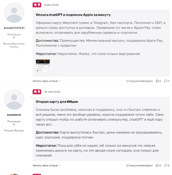 wayment вывод денег