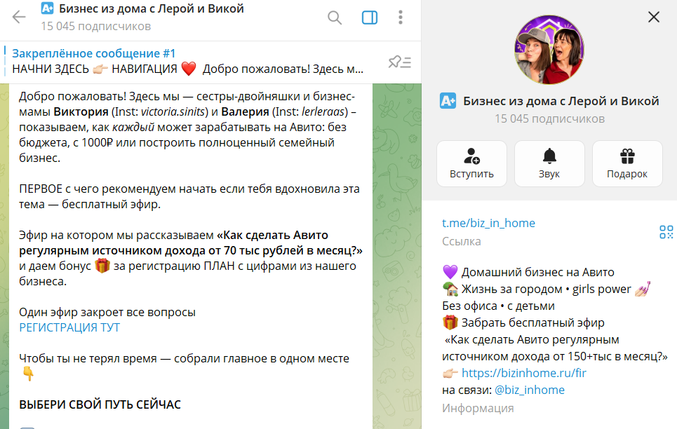 бизнес из дома с лерой и викой