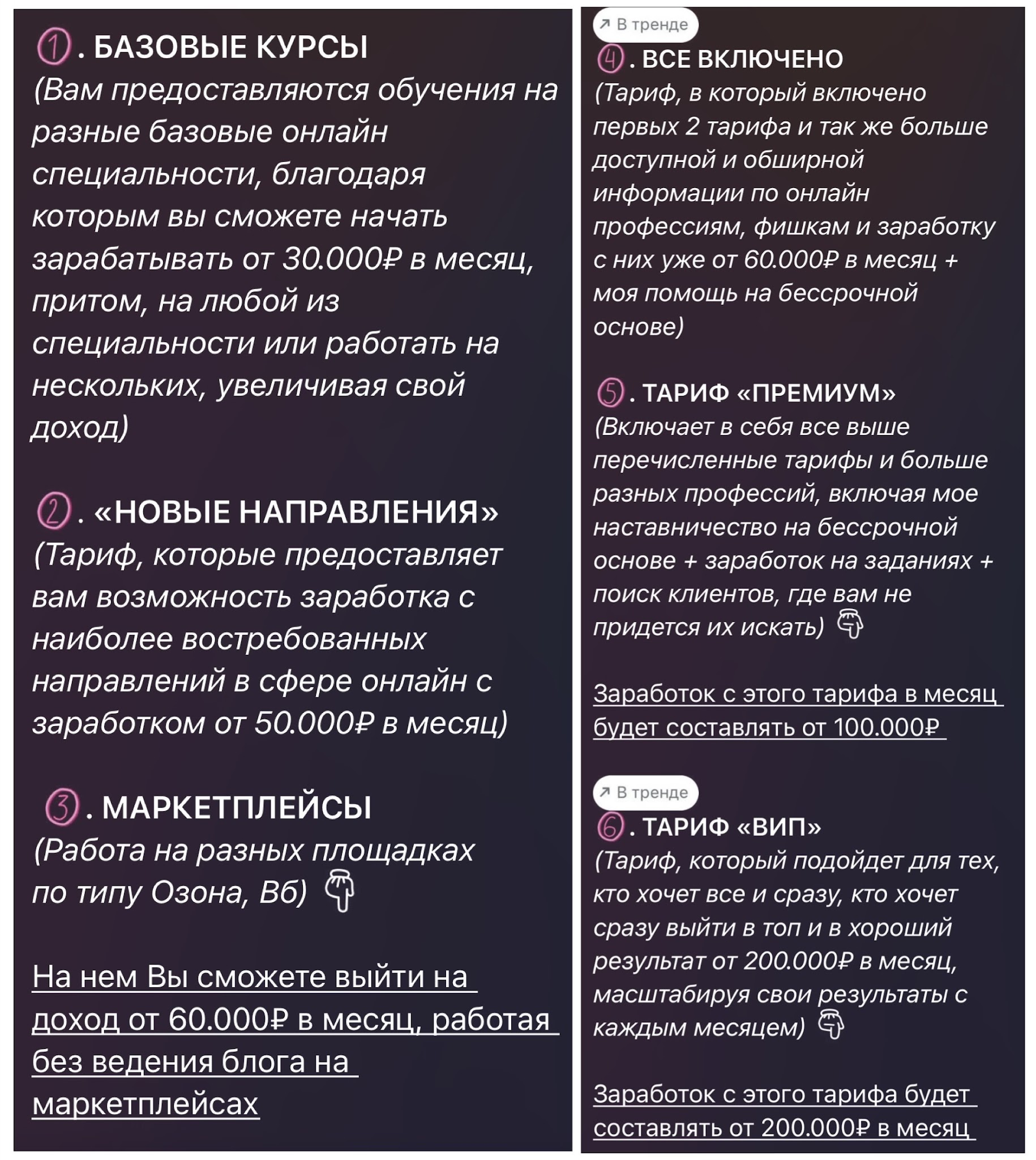 elizavettmf