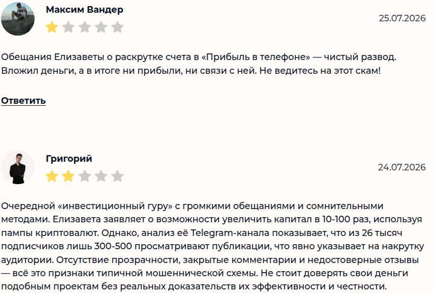 лиза все о фрилансе удаленка