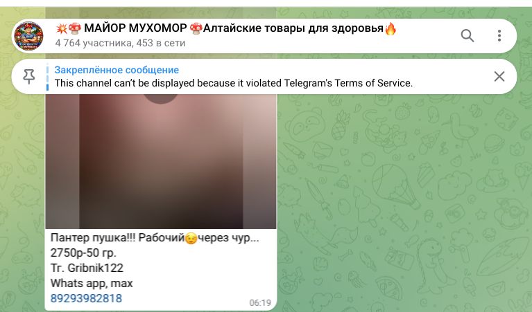 майор мухомор telegram отзывы
