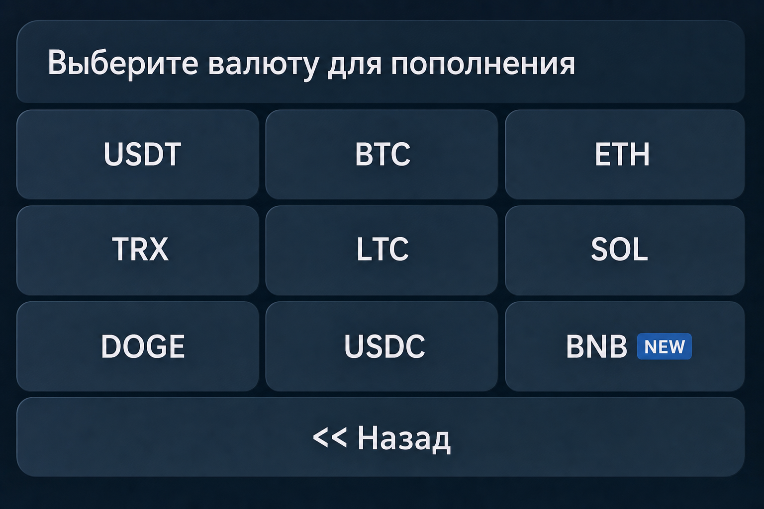 Pay Space Wallet