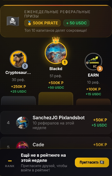 pirate network игра