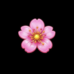 Sakuragiftbot