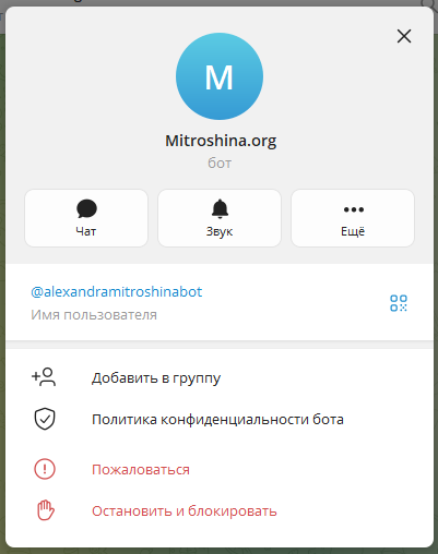 саша митрошина ютуб