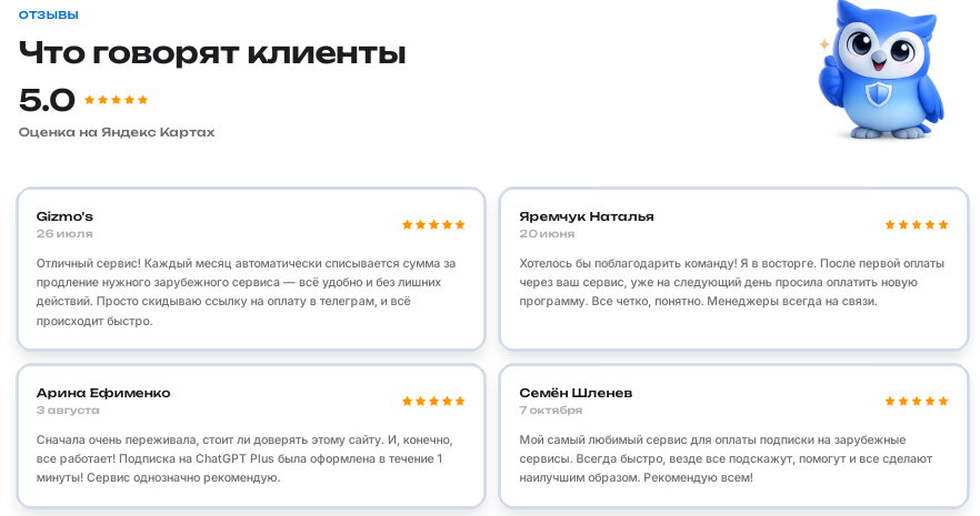 vs pay что это