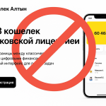 Wallet Altyn