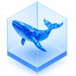 1Whale
