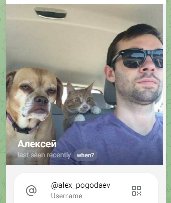 alex pogodaev