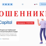 Amir Capital