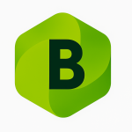 B2pay