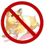 Стоп Хомяк⛔️🐹