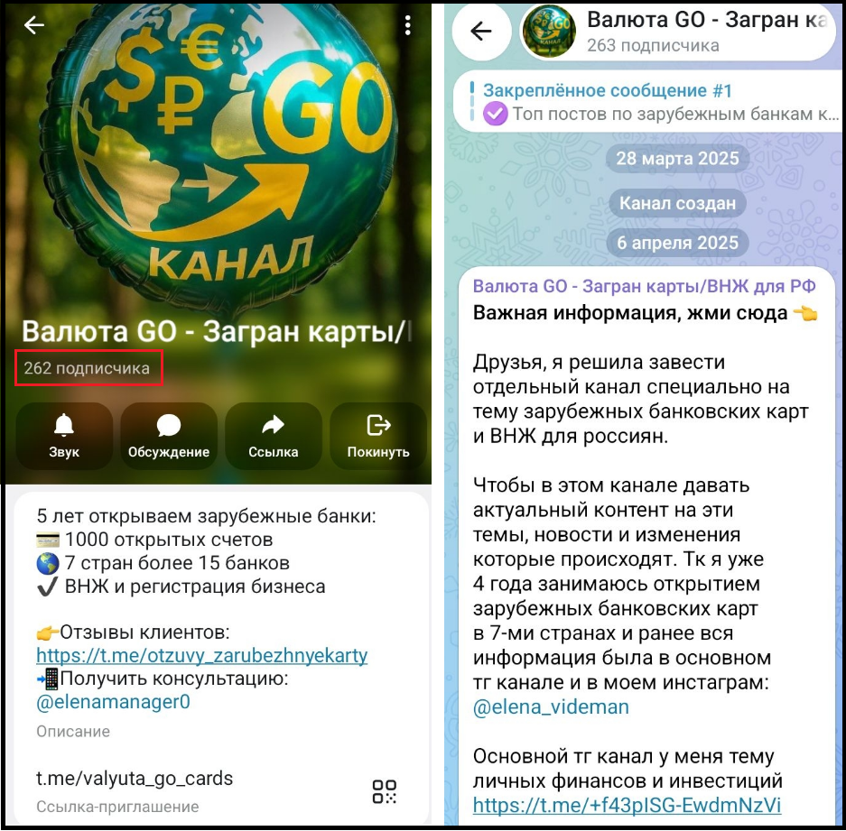 елена видеман финансовый советник